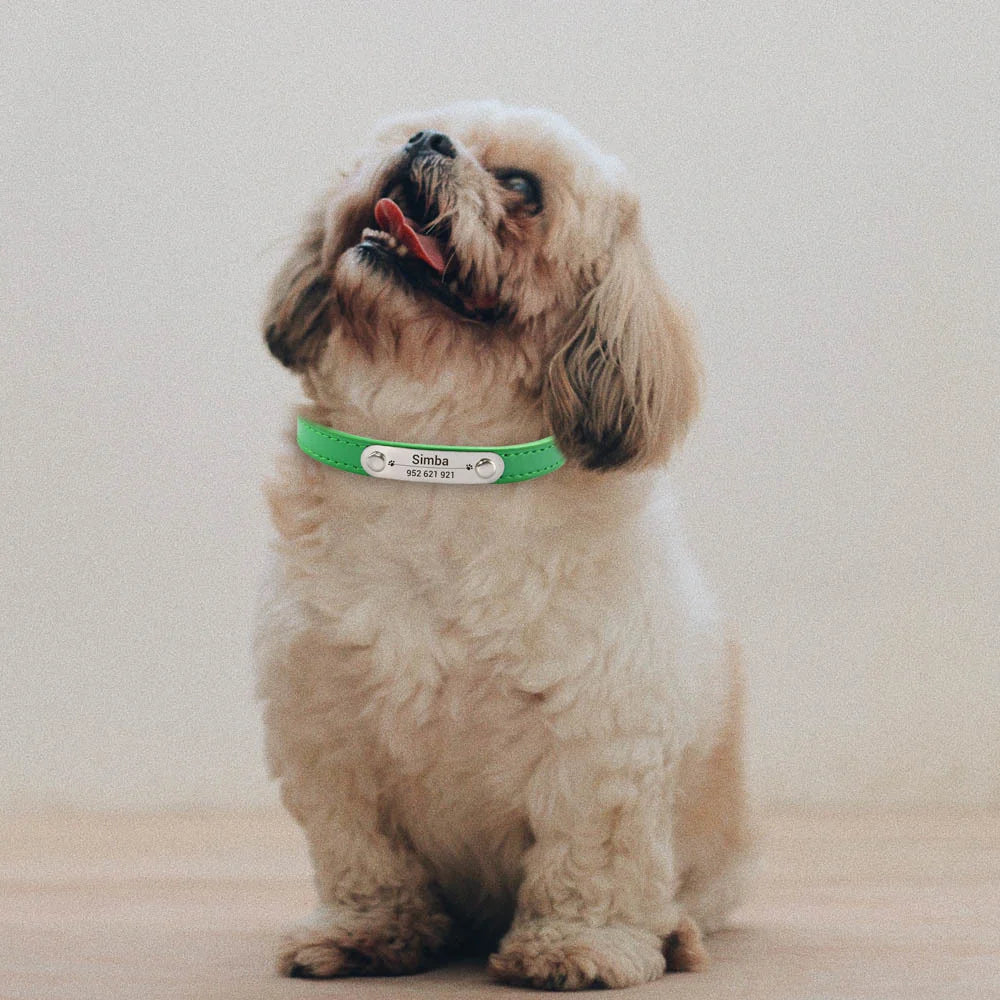 Collier Personnalisé pour Chien & Chat – Gravure Nom + Anti-Perte – Simili Cuir Rose (Taille S à L) 🚚 Livraison rapide en 8 à 12 jours ouvrés depuis la France FelizShop