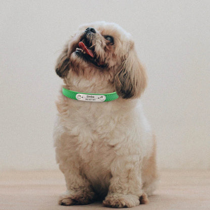 Collier Personnalisé pour Chien & Chat – Gravure Nom + Anti-Perte – Simili Cuir Rose (Taille S à L) 🚚 Livraison rapide en 8 à 12 jours ouvrés depuis la France FelizShop