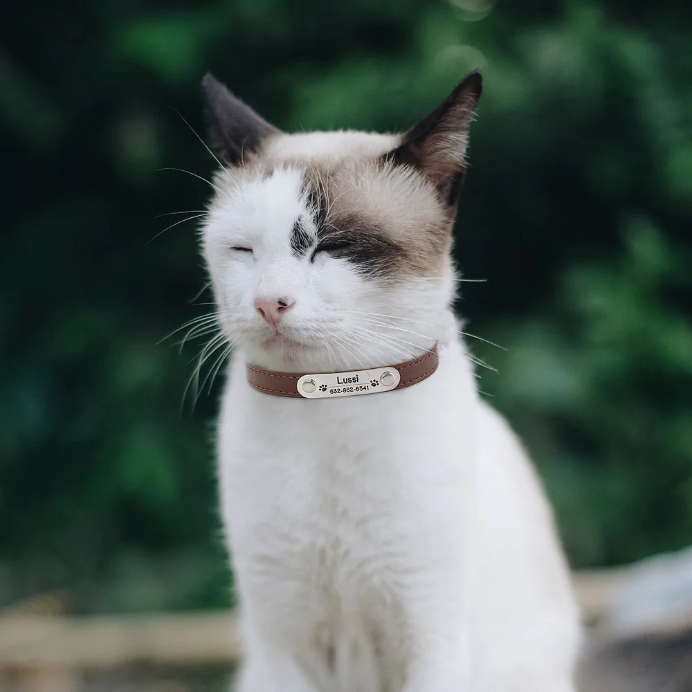 Collier Personnalisé pour Chien & Chat – Gravure Nom + Anti-Perte – Simili Cuir Rose (Taille S à L) 🚚 Livraison rapide en 8 à 12 jours ouvrés depuis la France FelizShop
